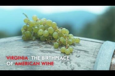 Birthplace of American Wine