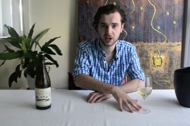 Wine Expert tastes French Wine: Mas de Daumas Gassac Blanc 2015