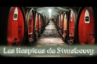 Top things to see in Strasbourg, France,  Les Hospices de Strasbourg Wine cellars