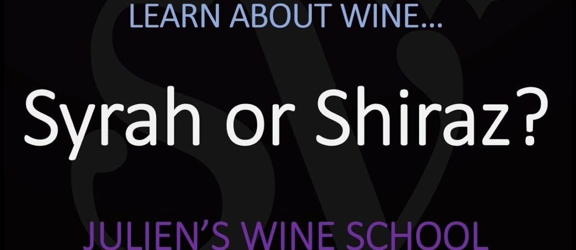 What's the DIFFERENCE between Shiraz & Syrah? Origin of the Grape & Wine