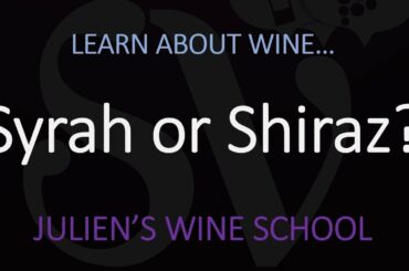 What's the DIFFERENCE between Shiraz & Syrah? Origin of the Grape & Wine