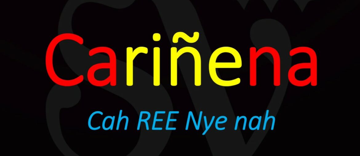 What's Cariñena & How to Pronounce it? Spanish Wine Pronunciation What's Cariñena & How to Pronounce it? Spanish Wine Pronunciation