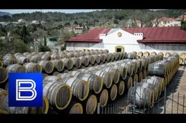 Hundred Year Tradition of Growing Grapes: Crimea Poised to Take World Wine Market By Storm!