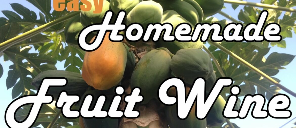 How To Make Fruit Wine At Home (easy + cheap)