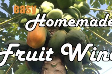How To Make Fruit Wine At Home (easy + cheap)