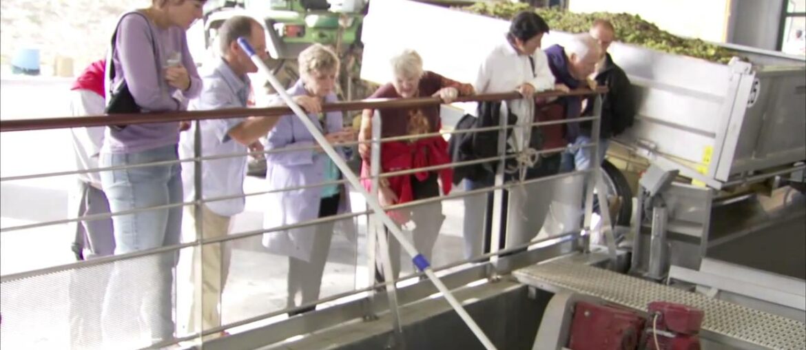 French Winery Tour - Sancerre, France