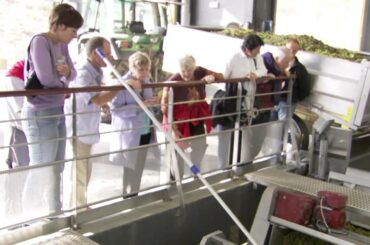 French Winery Tour - Sancerre, France