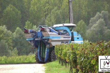 What You Don't Know About Bordeaux WINE TV