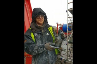 News! The Cognac shipwreck Kyros is now salvaged!