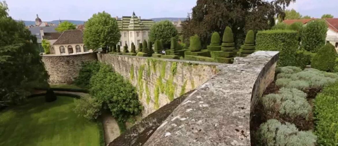 Discover The White Wines of Burgundy