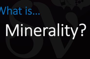 WTF is MINERALITY? Everything you need to know about this wine term!