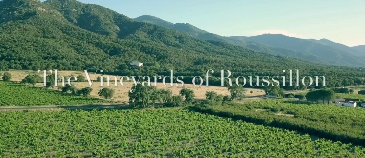 Flying Over Southern France Wine Country + My First-Ever Mavic Pro Drone Movie