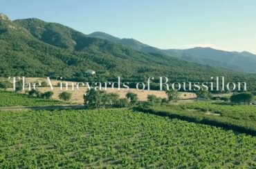 Flying Over Southern France Wine Country + My First-Ever Mavic Pro Drone Movie