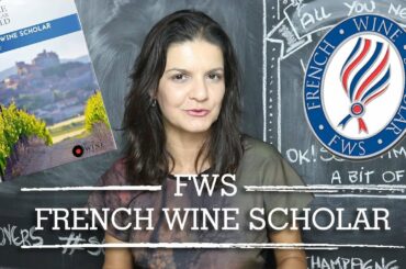 French Wine Scholar estudando, questões da prova e tempo | Marcia Anholeti