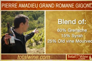 French Wine Amadieu Gigondas Grand Romane