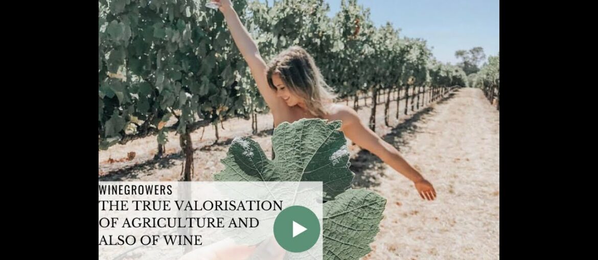 🍷In the future, the soul of wine and true farming are valued 🍷In the future, the soul of wine and true farming are valued