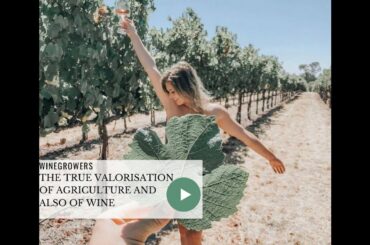 🍷In the future, the soul of wine and true farming are valued