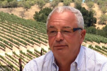 Red, White, & Sacrebleu: How American wines shocked the world