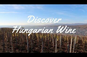Discover Hungarian Wine: The Best Kept Secret In The Old World