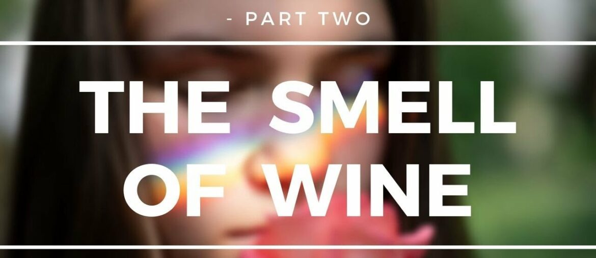 A Tasting Masterclass – Part 2 of 3 – The Smell of Wine A Tasting Masterclass - Part 2 of 3 - The Smell of Wine