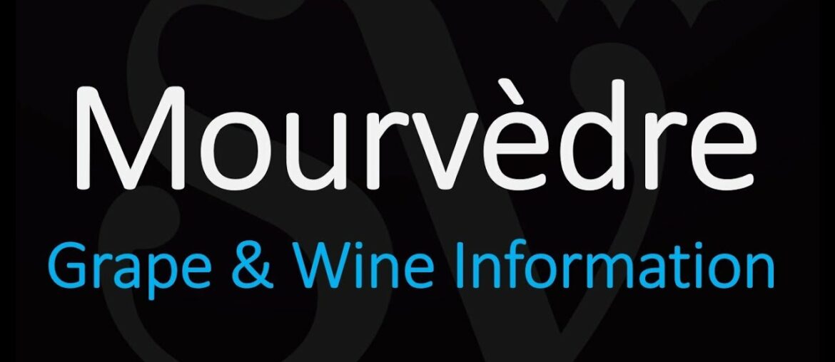 Wine information & How to Pronounce Mouvèdre – Monastrell Grape Wine information & How to Pronounce Mouvèdre - Monastrell Grape