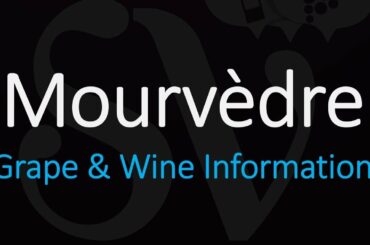 Wine information & How to Pronounce Mouvèdre - Monastrell Grape