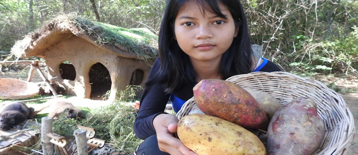Crispy French and sweet potatoes fries Recipe-how to fry Crispy French and sweet potatoes Crispy French and sweet potatoes fries Recipe-how to fry Crispy French and sweet potatoes