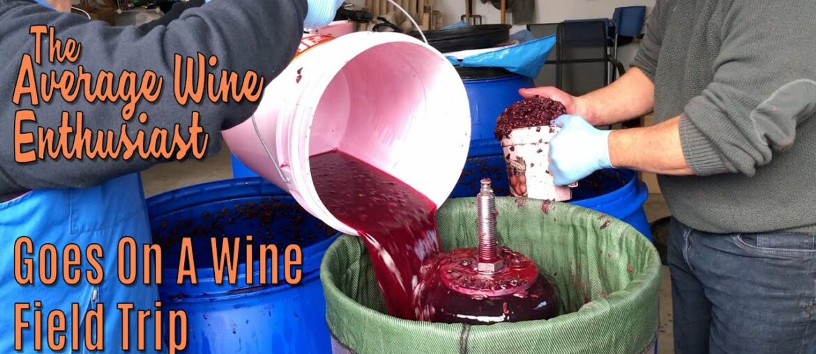 The Average Wine Enthusiast - Episode 17