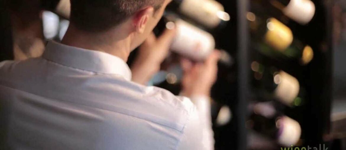 Wine Talk: Great Wines Made Easy with David Stephan