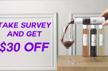 French Craft Wine in Glass Sized Bottle