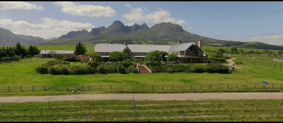 Longridge Wines – Biodynamic Wine Farm Longridge Wines - Biodynamic Wine Farm