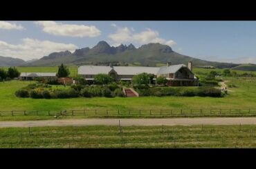 Longridge Wines - Biodynamic Wine Farm