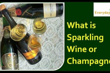 What is Sparkling Wine or Champagne ?? |  स्पार्कलिंग वाइन और शैम्पेन | Everyday Life