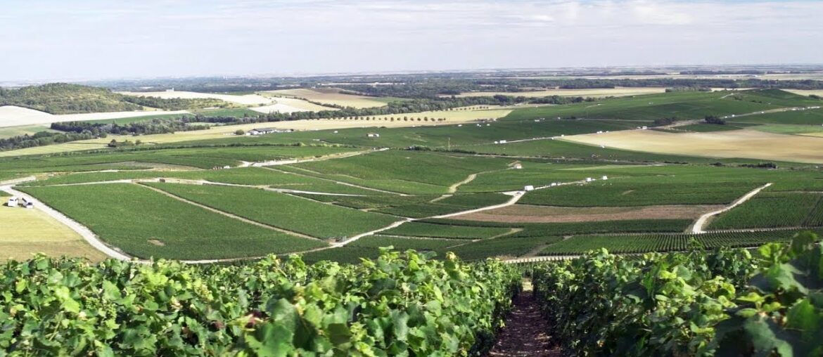 Guided tour of Moët & Chandon House and Reims Champagne Region, France