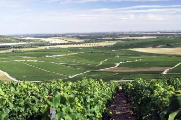 Guided tour of Moët & Chandon House and Reims Champagne Region, France