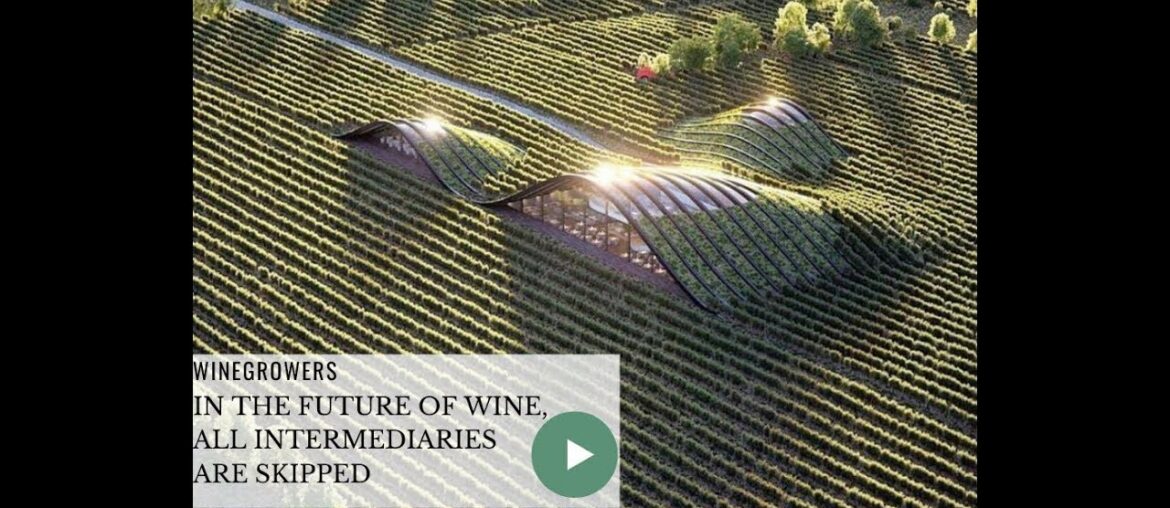 🍷In the future of wine, all intermediaries are skipped 🍷In the future of wine, all intermediaries are skipped