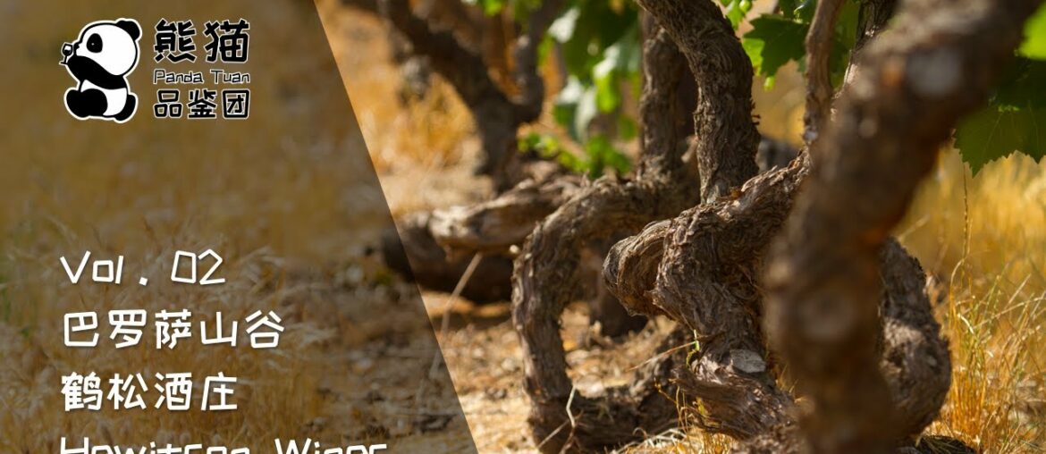 「熊猫品鉴团丨Panda Tuan」Vol.02 Hewitson Wines - the benchmark flavour profile of Barossa Valley Shiraz