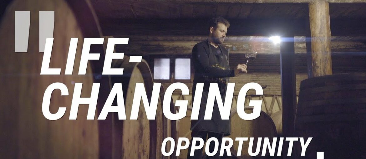 MSc in International Wine Management MSc in International Wine Management