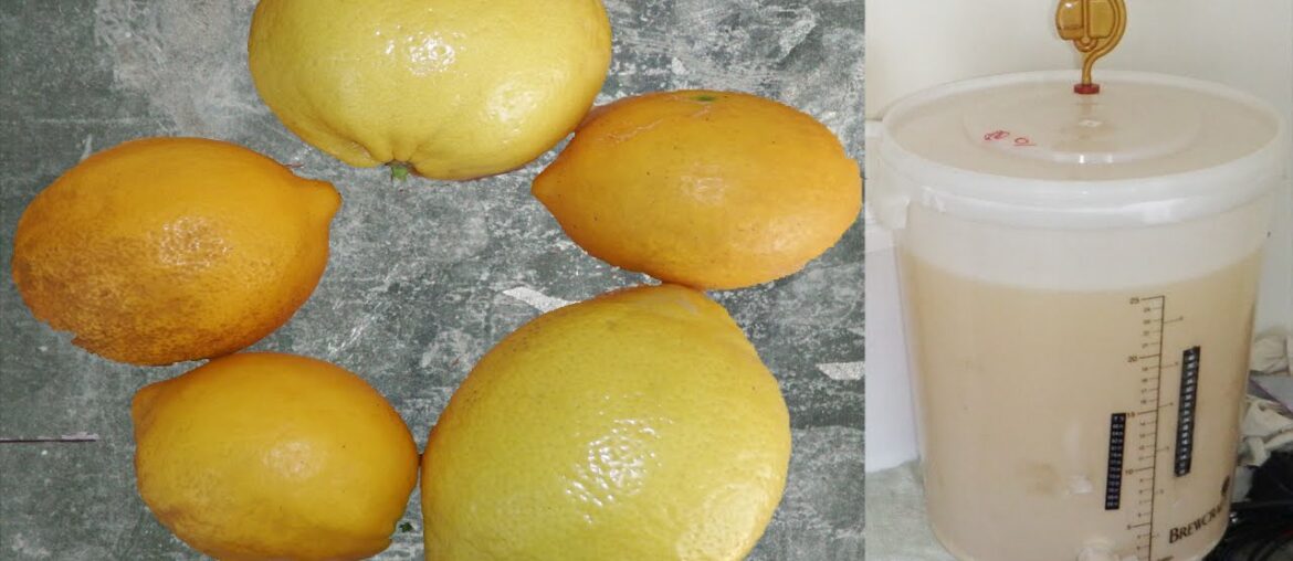 How to Make Lemon Wine (+Recipe - Infuse Method)