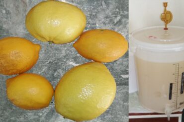 How to Make Lemon Wine (+Recipe - Infuse Method)