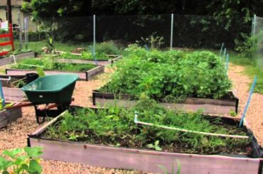 The Best Deals on Fine Dining & Wine are at Kris Bistro