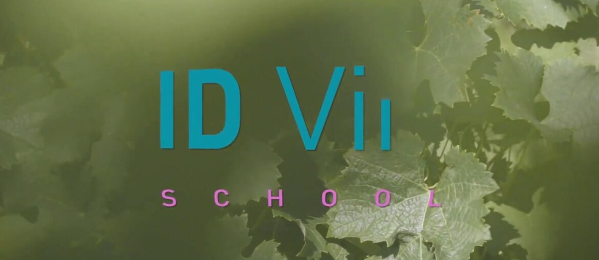 Work with Galatée Faivre iD ViN, Futurist wine business expert Work with Galatée Faivre iD ViN, Futurist wine business expert