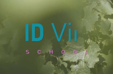 Work with Galatée Faivre iD ViN, Futurist wine business expert