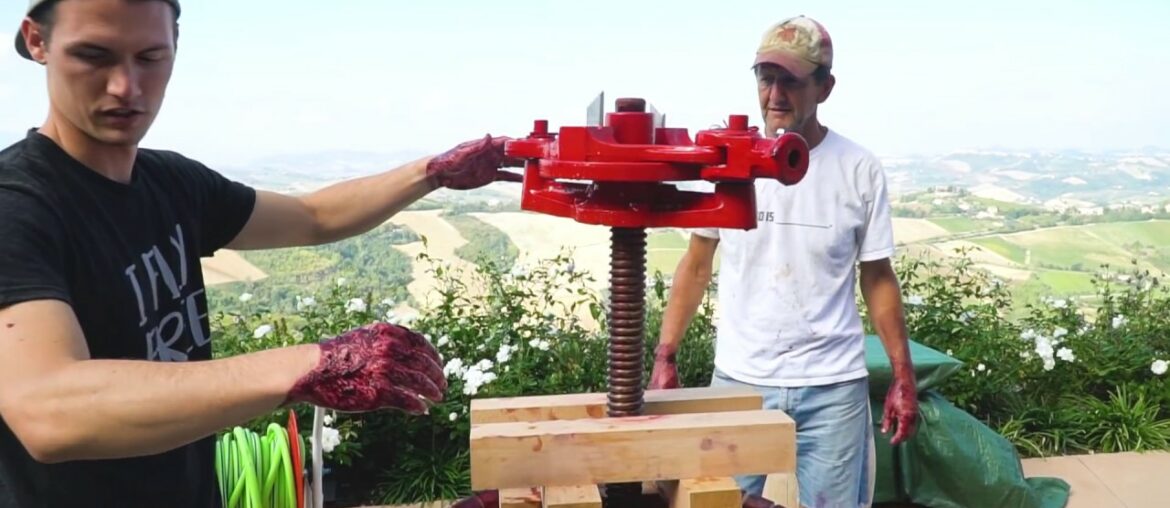 MAKING WINE IN ITALY! The Whole Process