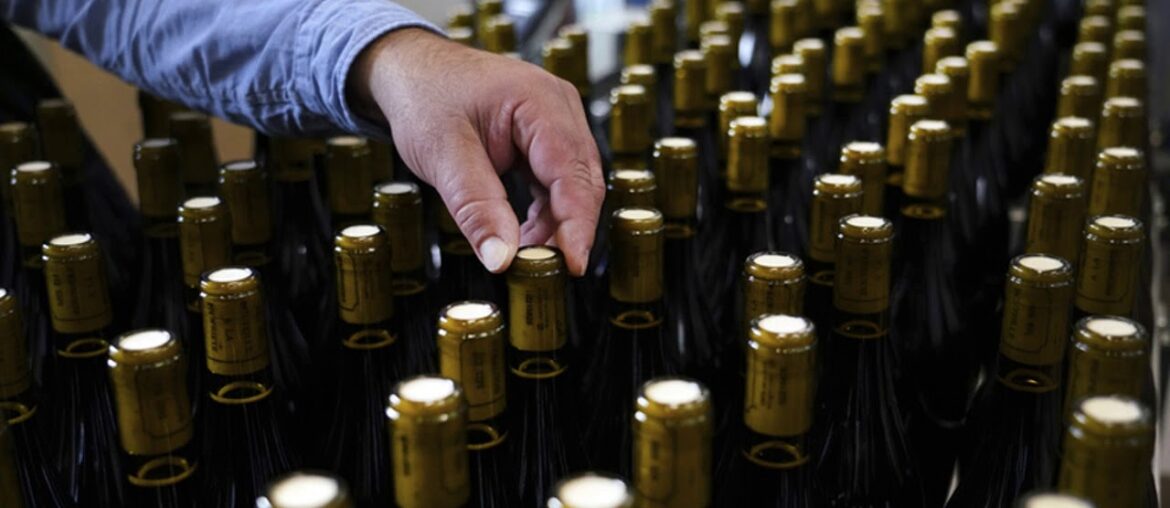 Wine woes: Tariffs, Brexit cloud French Beaujolais season Wine woes: Tariffs, Brexit cloud French Beaujolais season