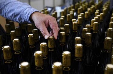 Wine woes: Tariffs, Brexit cloud French Beaujolais season