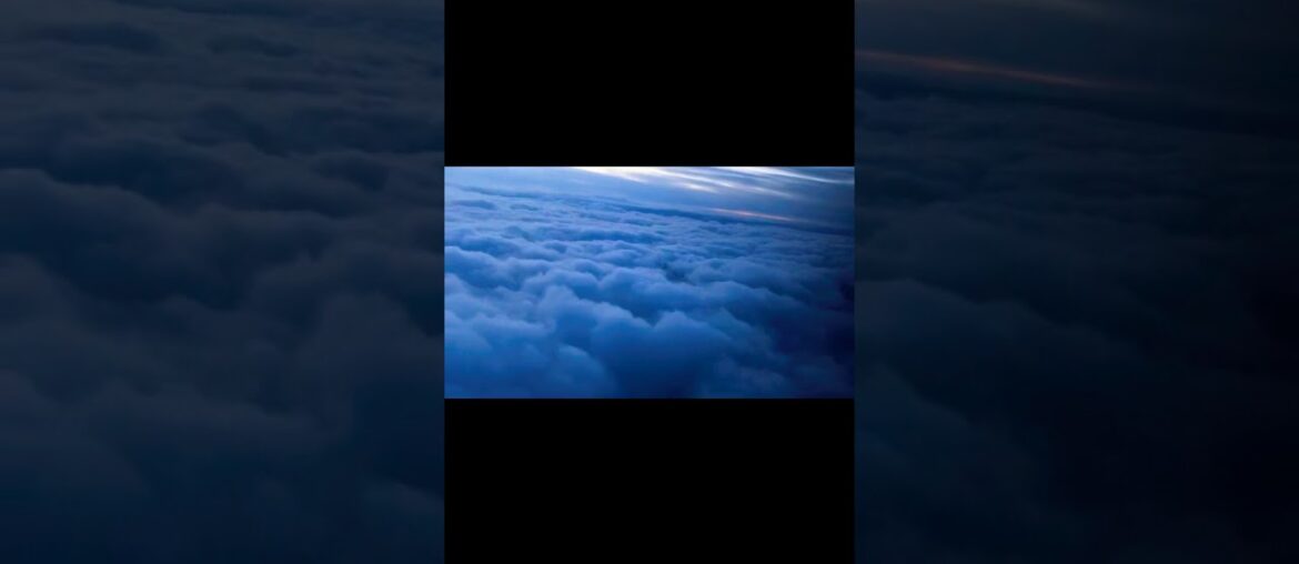 Bordeaux Tour of the best Vineyard