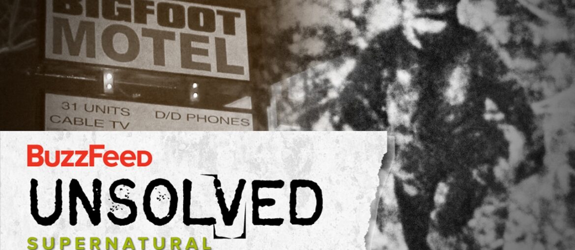 The Harrowing Hunt For Bigfoot The Harrowing Hunt For Bigfoot