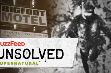 The Harrowing Hunt For Bigfoot