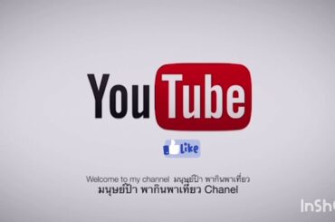 ฉลาดเที่ยวไปกับมนุษย์ป้า โปรโมชั่นราคาดี๊ดี 499THB Free flow wine + tapas buffet unlimited 2 hours